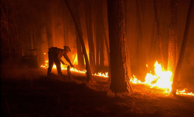 The Rodeo-Chediski Fire in 2002